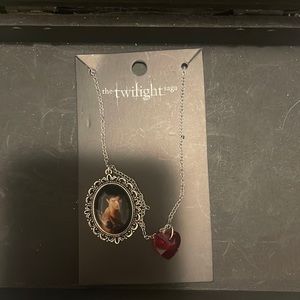 Bought from hot topic